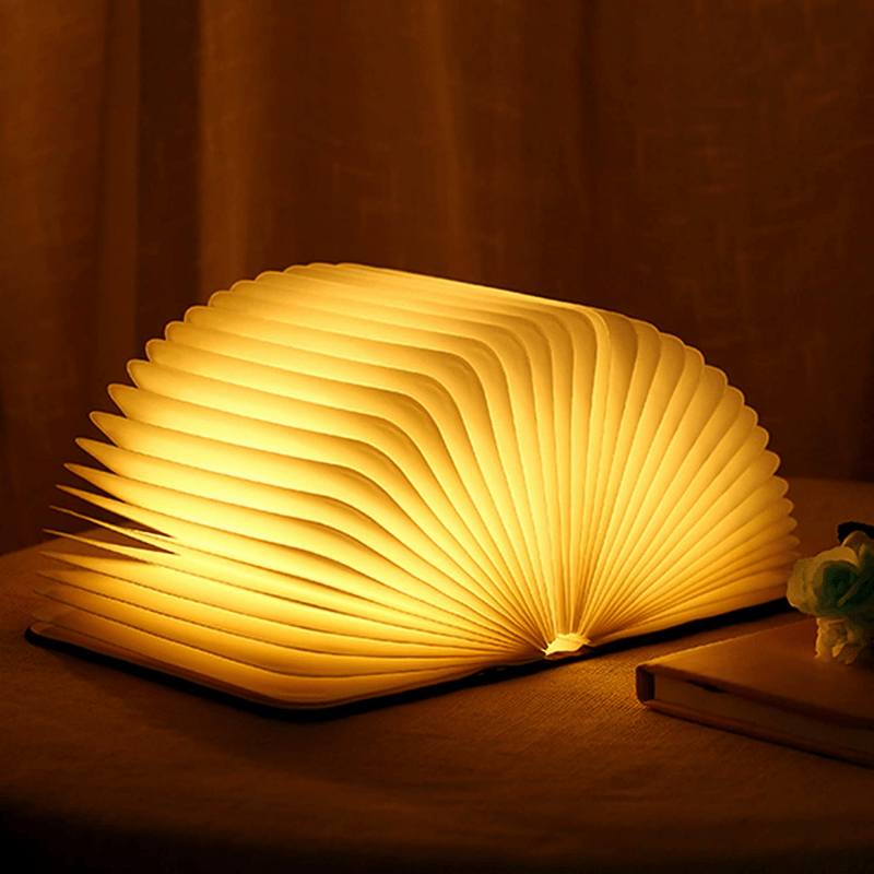 Bücherlampe LED Dimmbar 22cm Warmes Licht